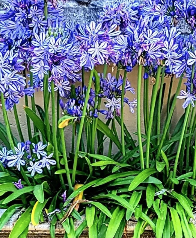 Dodie Lake Rue De France - quote pic FOCUS mind plus body