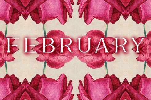 2025 DIARY for the wild at heart - February full flower.
