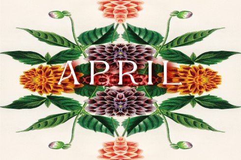 2025 DIARY for the wild at heart - April full flower.