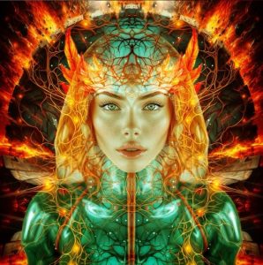 Wayne Höecherl - Space Heat